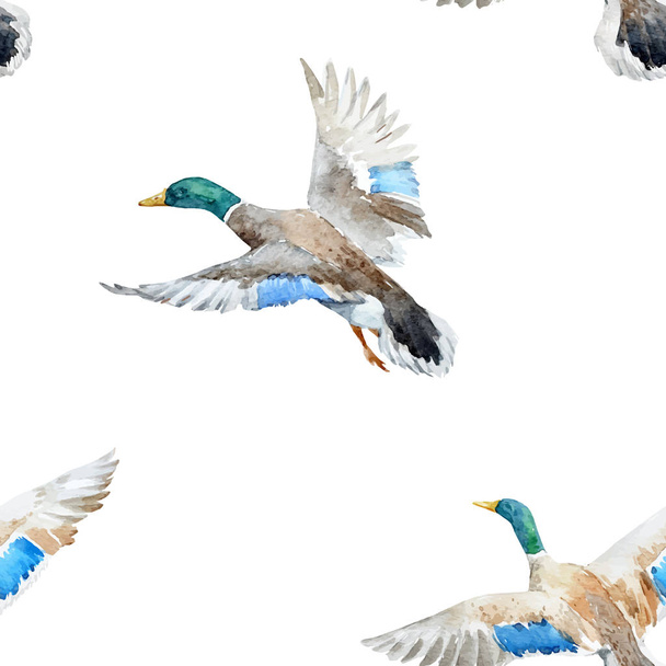 Watercolor vector pattern with ducks - Vector, Image