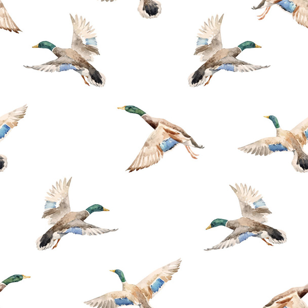 Watercolor vector pattern with ducks - Διάνυσμα, εικόνα
