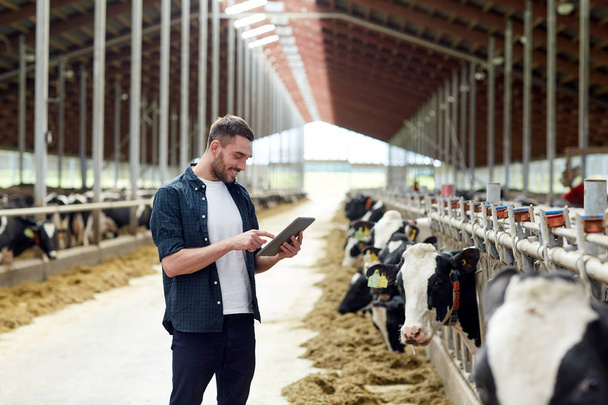 jonge man met tablet pc en koeien op melkveebedrijf - Foto, afbeelding