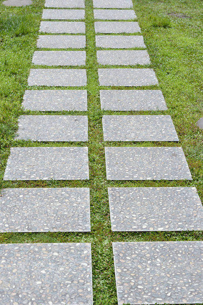 Un sendero curvilíneo hecho de bloques de hormigón a través de la hierba
 - Foto, imagen