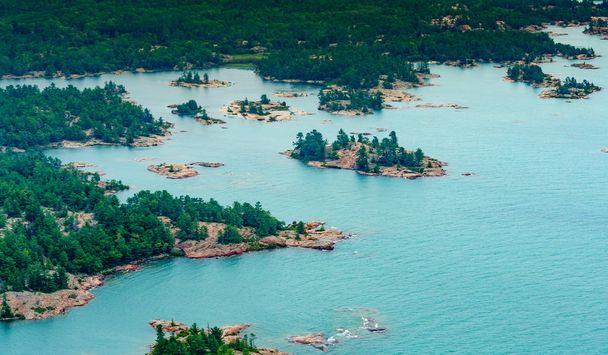 High angle view of coastline with offshore rocks and trees - Photo, Image