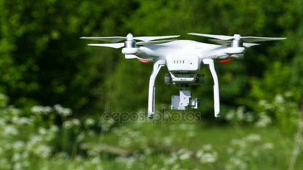  Повільний рух. Білий Drone зйомок зелений ліс в літній час. - Кадри, відео