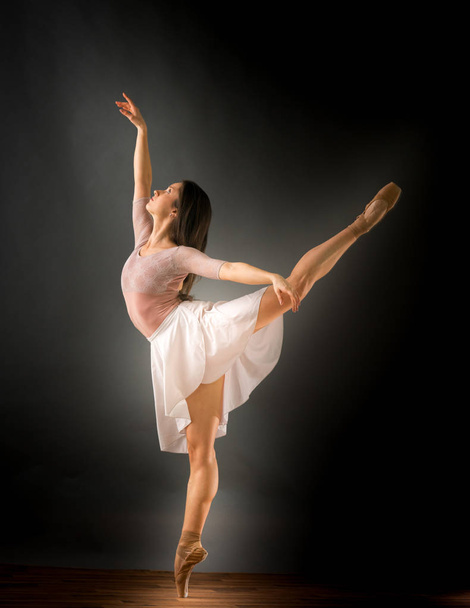 Female ballet dancer  - Fotografie, Obrázek