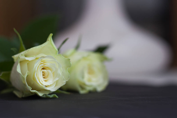 Beautiful White Roses  - Fotografie, Obrázek