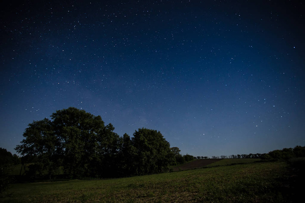 Bir alan üzerinde gece gökyüzü - Fotoğraf, Görsel