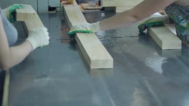 Trasportatore per la lavorazione del legno in fabbrica
 - Filmati, video