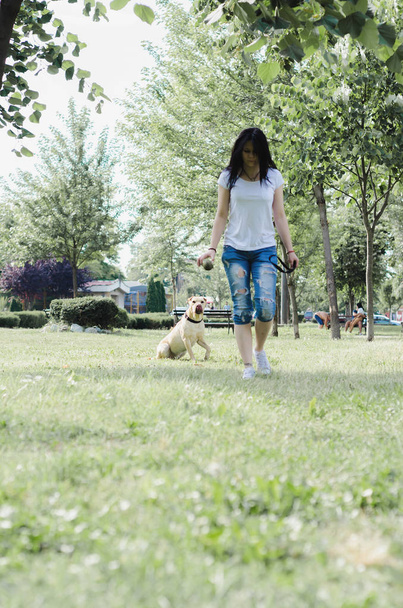 Girl trained dog in the park  - Фото, изображение