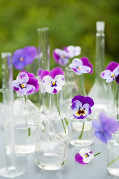 bratek kwiaty w wyroby ze szkła chemiko, Dekoracja stołu w ogrodzie - Zdjęcie, obraz