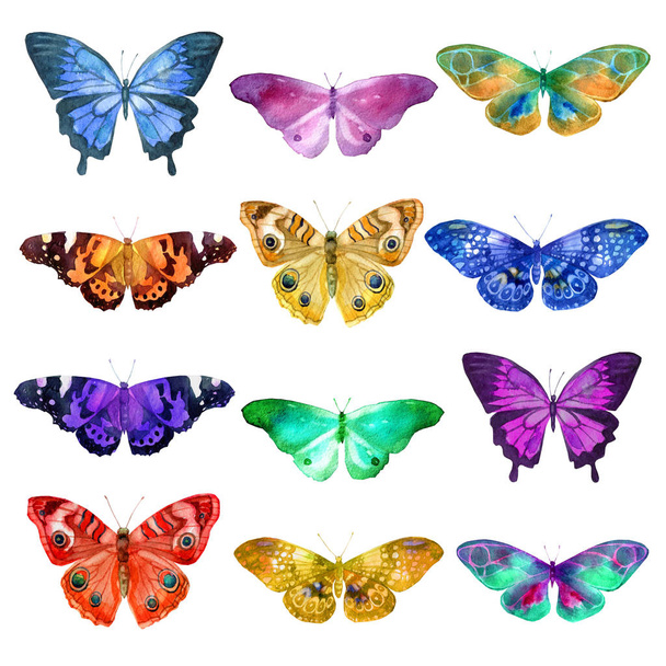 Set of watercolor transparent butterflies in blue, pink, orange, ocher and lilac flowers on a white background - Foto, Bild