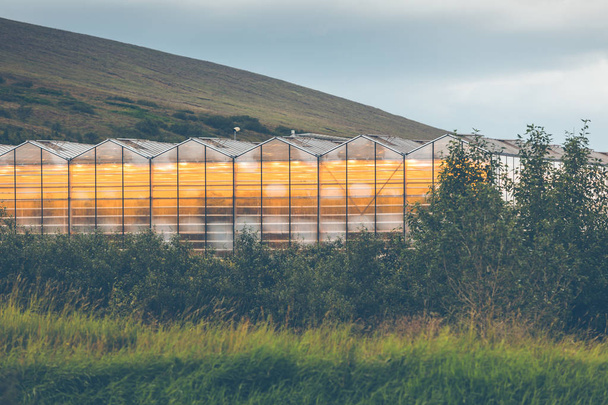 Geothermal greenhouses in Iceland - Photo, Image