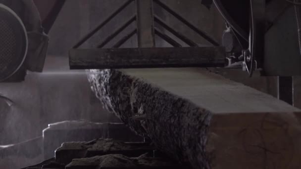 Деревообрабатывающий конвейер на заводе
 - Кадры, видео