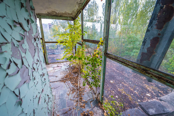 Pripyat en Ucrania
 - Foto, Imagen