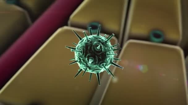 Le coronavirus pénètre dans les cellules - Séquence, vidéo