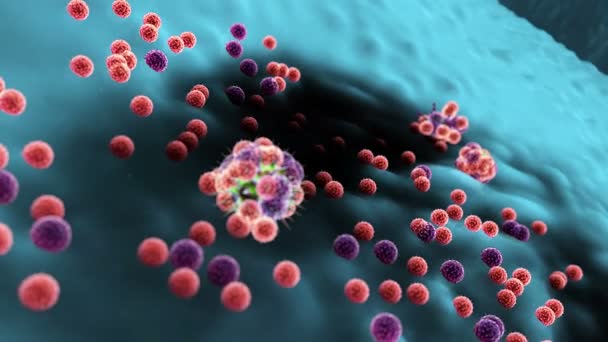 lymphocytes against viruses - Footage, Video