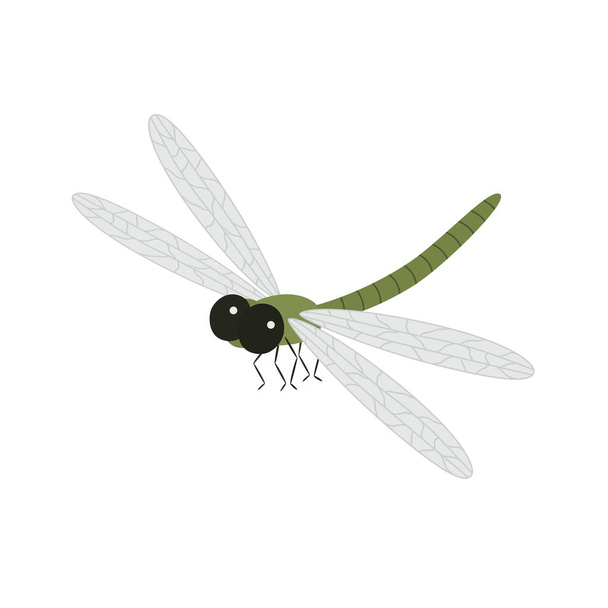 Dibujos animados hermosa libélula
 - Vector, imagen