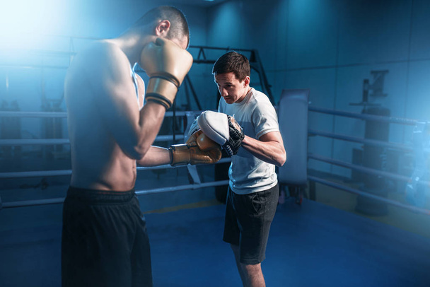 jovens boxers musculares
 - Foto, Imagem