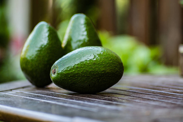 Green ripe avocado from organic avocado plantation - healthy foo - Photo, Image