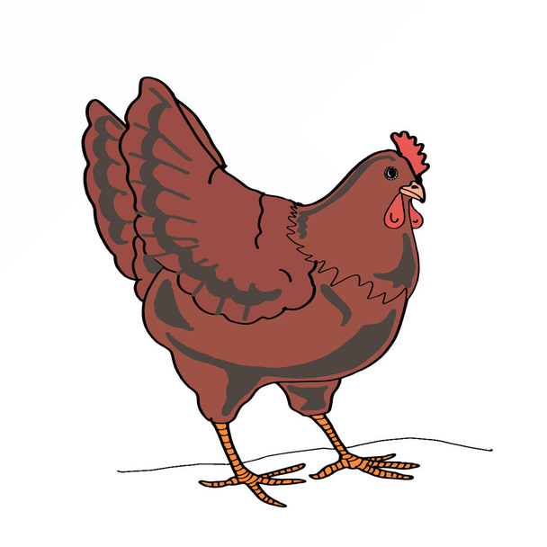 chicken icon farm - Photo, image