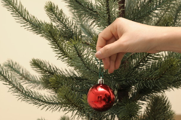 Holding object on Christmas day - Φωτογραφία, εικόνα