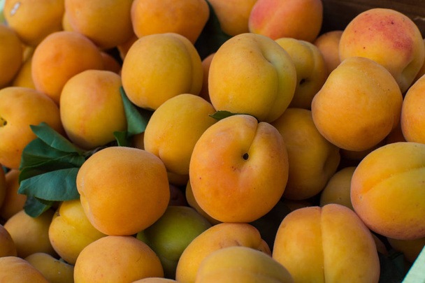 Полный ящик свежих спелых абрикосов (Prunus armeniaca
) - Фото, изображение