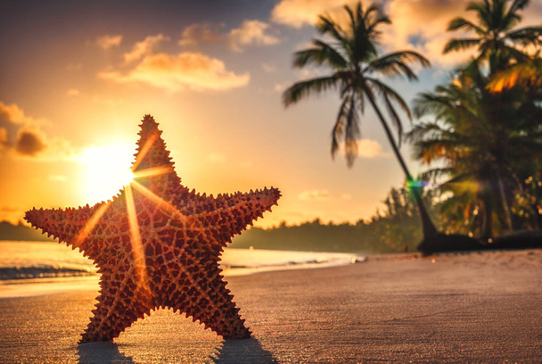 Seastar nebo moře hvězdice stojící na pláži. - Fotografie, Obrázek