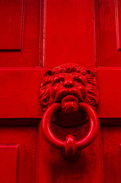 Tür mit Messingklopfer in Form eines Löwenkopfes, wunderschön - Foto, Bild