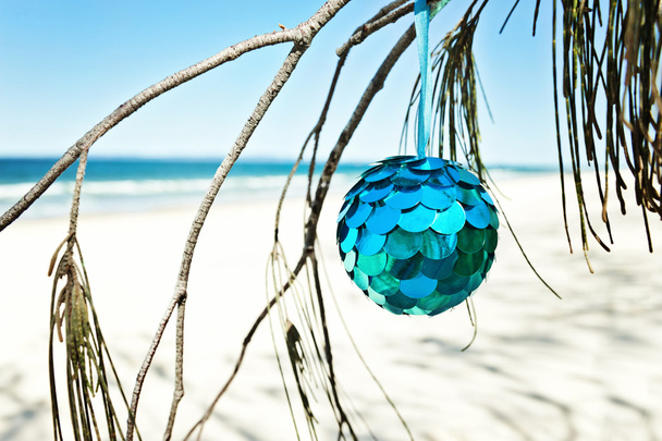 Sininen hely roikkuu puusta rannalla
 - Valokuva, kuva