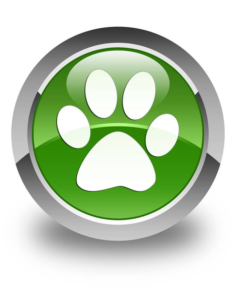 Animal Footprint Symbol glänzend weich grün runden Knopf - Foto, Bild