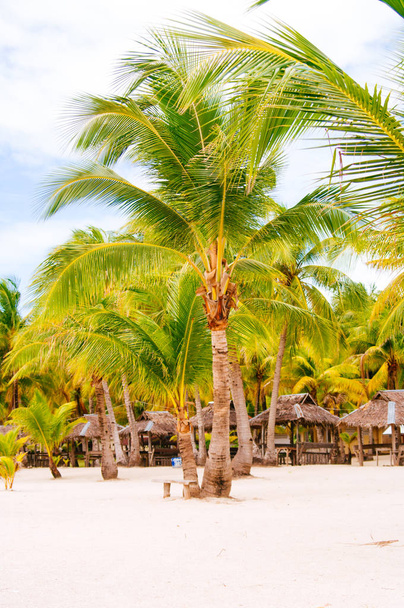 Landscape of paradise tropical island with palms and white sand beach - Foto, Imagem