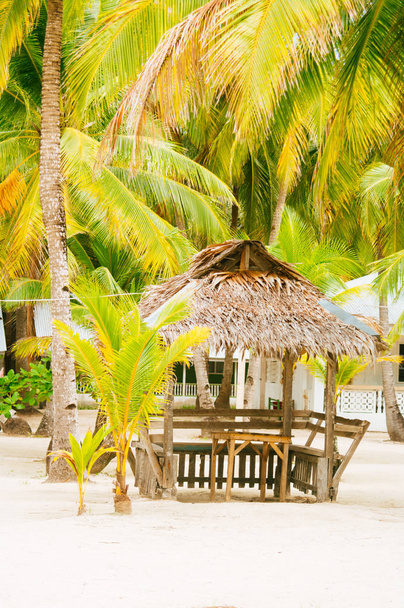 Paesaggio di paradiso isola tropicale con palme, cottage e spiaggia di sabbia bianca in Asia
 - Foto, immagini