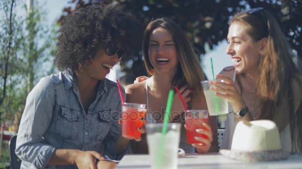 Cheerful friends enjoying drinks - Footage, Video