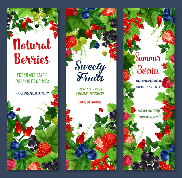 Beeren und süße Früchte Vektor Banner Set - Vektor, Bild