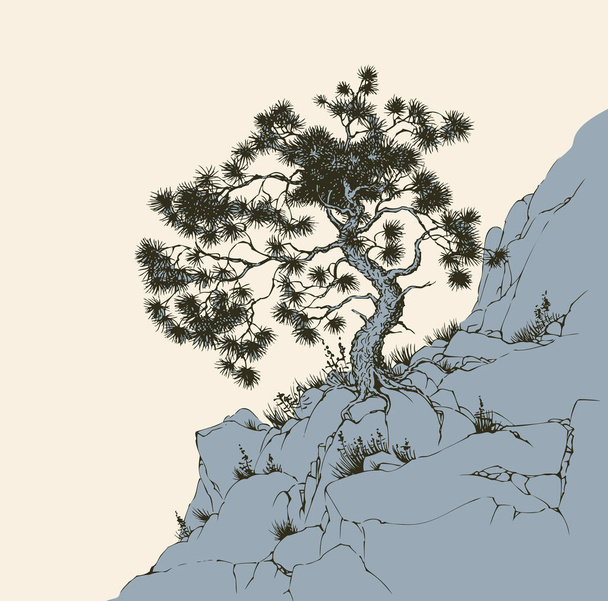 松の岩の上 - ベクター画像