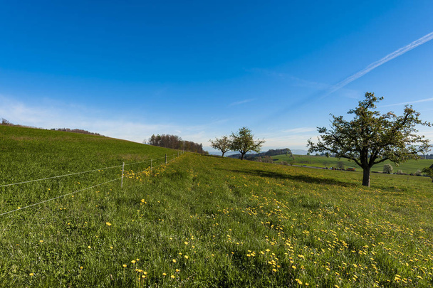 Swiss landscape with meadows  - Photo, Image