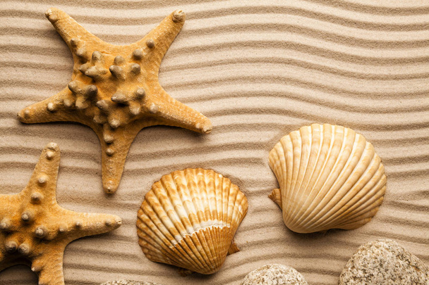 Summer background - Starfishes and shells on beach sand - Foto, imagen
