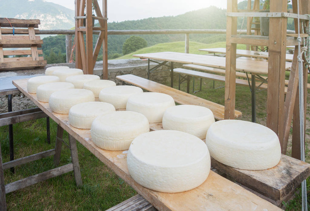 Producción de queso natural en los Alpes
  - Foto, imagen