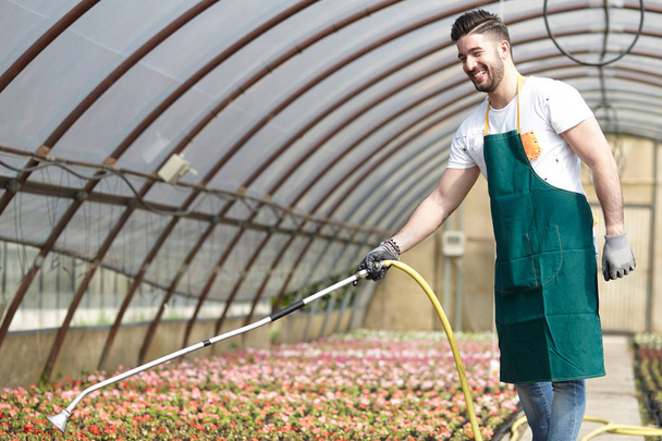 happy male nursery worker trimming plants in greenhouse - 写真・画像