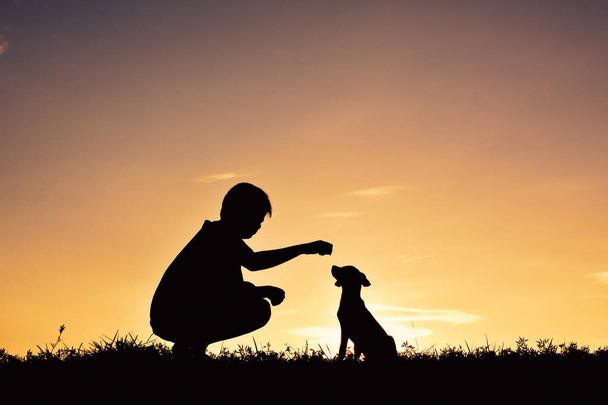 Silhouette boy playing with little dog  - Fotografie, Obrázek