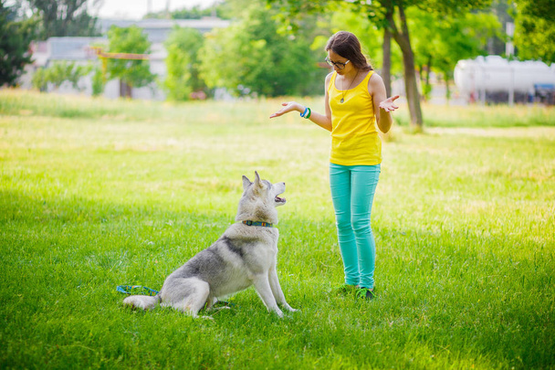 Girl playing with Husky - Foto, imagen