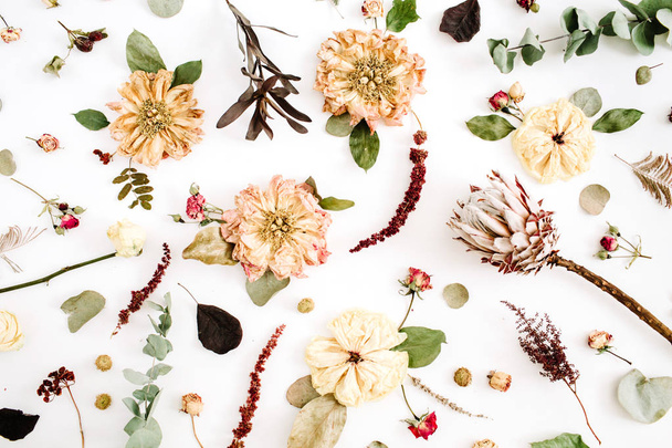 Dried flowers background - Photo, Image