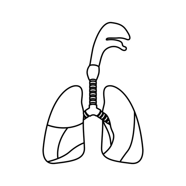 σκίτσο σιλουέτα αναπνευστικό σύστημα με τραχεία - Διάνυσμα, εικόνα