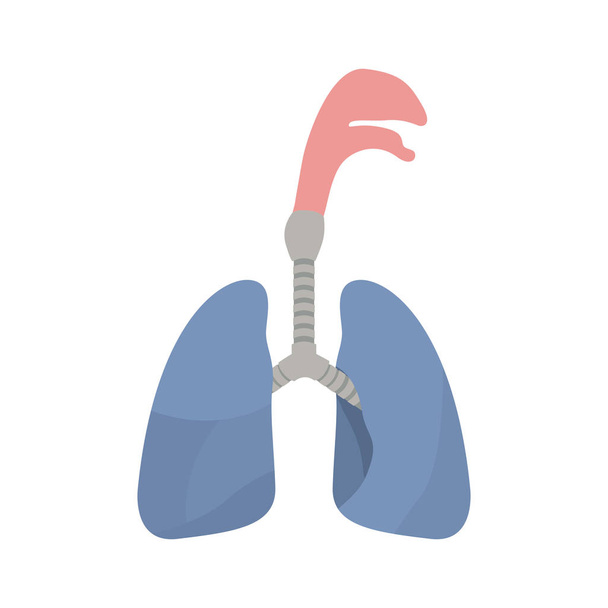 πολύχρωμο σιλουέτα αναπνευστικό σύστημα με τραχεία - Διάνυσμα, εικόνα