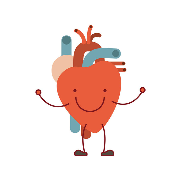 caricature de silhouette colorée avec système circulatoire visage heureux avec coeur
 - Vecteur, image