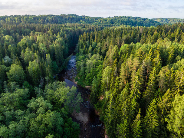 Drone görüntü. Ormanlar ile kırsal bölgenin havadan görünümü - Fotoğraf, Görsel