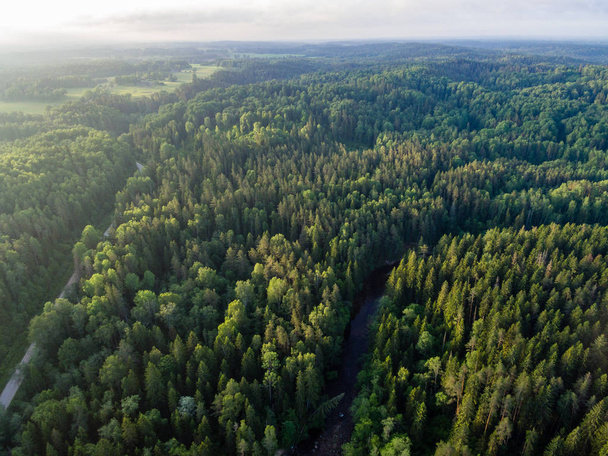 drone image. aerial view of rural area with forests - Photo, Image