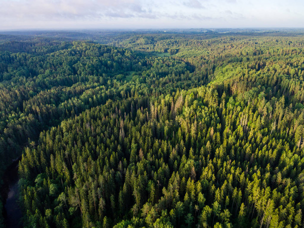 зображення безпілотника. вид з повітря на сільську місцевість з лісами
 - Фото, зображення