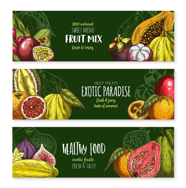 Векторні банери екзотичних фруктів для меню
 - Вектор, зображення