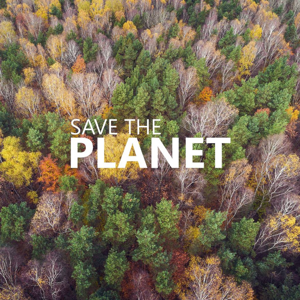 Спаси планету. Вид с воздуха на лес с разным цветом
 - Фото, изображение