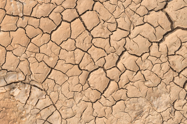 Dry cracked earth. - Photo, Image