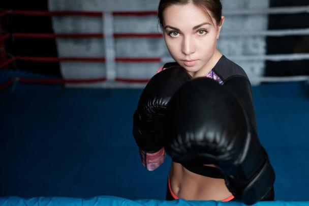 Young adult sexy boxing girl posing with gloves. - Photo, Image